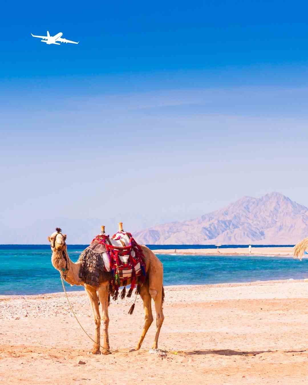sharmelsheikh